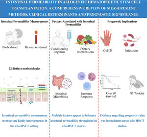 Key findings on intestinal permeability in the allo-HSCT setting. Allo-HSCT: Allogeneic hematopoietic stem cell transplantation;GVHD: Graft versus host disease; GI: Gastrointestinal.