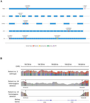 A. Variants in complement-related genes identified with next generation sequencing and confirmed with nanopore sequencing. The figure shows the single nucleotide variants (circles, squares, triangles and diamond) within the exons (blue rectangles) of the single complement- related genes (C3: NM_000064.4; DGKE: NM_003647.3, THBD: NM_000361.3; CFH: NM_000186.4; CFHR3: NM_021023.6. 3′UTR: 3′ untranslated region. B. Rapid genomic analysis in three patients with transplant-associated thrombotic microangiopathy (TA-TMA). The figure shows read coverage data across the genomic region encompassing the CFHR3 and CFHR1 genes for three different samples from patient no 3 (wild type), patient no 14 (heterozygous deletion) and patient no 13 (homozygous deletion). The dashed vertical lines indicate the breakpoints of the structural variants spanning the two CFHR genes, as automatically calculated by the CNVkit tool.
