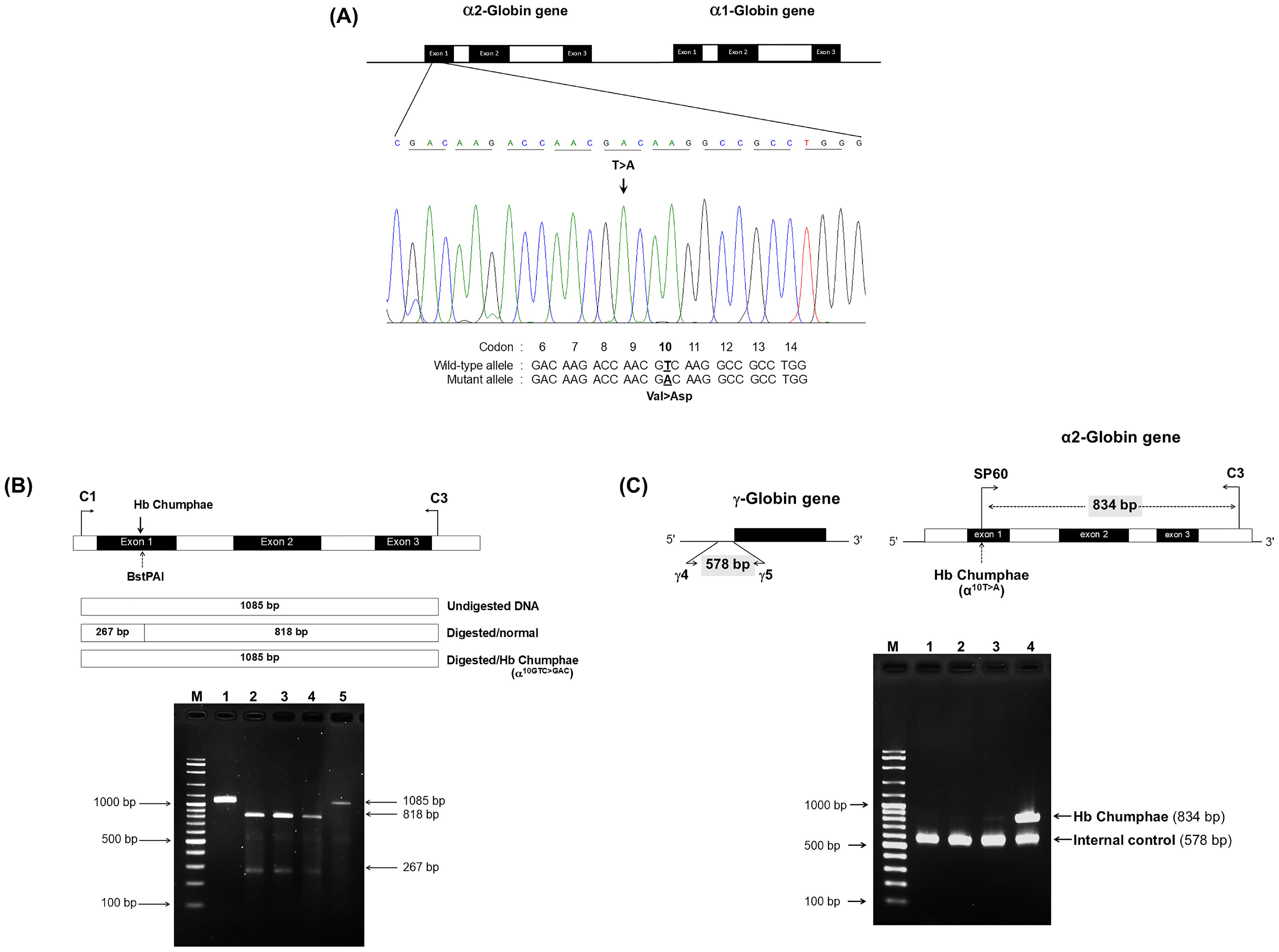 fig0002
