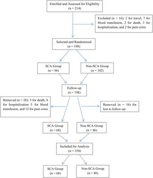 Flow chart of patients enrolled and randomly followed in the Study.