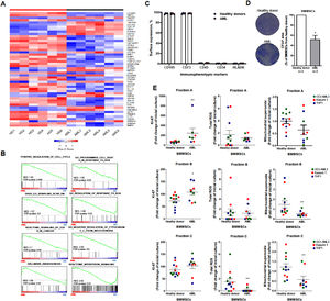 Acute myeloid leukemia-derived bone marrow mesenchymal stromal cells improve cell proliferation and reactive oxygen species regulation in leukemia cells. (A) The heatmap was constructed using Morpheus and summarizes the expression of the differentially expressed genes (p < 0.05) across samples from healthy donor (HD)-derived bone marrow mesenchymal stromal cells (BMMSCs) (n = 4; HD1–4) versus acute myeloid leukemia (AML)-BMMSCs (n = 4; AML1–4). The color intensity represents the ɀ-score within each row. (B) GSEA on a pre-ranked gene list based on the leading-edge genes for AML- and HD-derived BMMC expression. Genes were ranked based on Pearson's correlation with highly expressed genes in AML-derived BMMSCs. The normalized enrichment score (NES) and false discovery rate (FDR) were used for significance. (C) Bar graphs represent the mean ± SD of the percentage CD105, CD73, CD45, CD34 and HLA-DR cells of HD-derived (n = 4) and AML-derived BMMSC (n = 4) samples. (D) For fibroblastic colony forming unit (CFU-F) assay, BMMSCs were seeded in 6-well plates at a confluence of 500 cells/wells. After 15 days, CFU-F was detected by crystal violet staining. A minimum number of 50 cells grouped along the well were considered a colony. Colony images illustrate an experiment for HD-derived and AML-derived BMMSCs and the graphs represent the mean ± SD of three independent samples for each group. The p-values are indicated in the graphs; *p < 0.05; Student´s T-test. (E) Leukemia cells (gated CD45 cells) from fraction A (non-adherent population), fraction B (phase-bright population) and fraction C (adherent) were submitted to Ki-67, reactive oxygen species (ROS) and mitochondrial superoxide evaluation by flow cytometry, as indicated. Data were expressed as fold-change of the co-culture adaptation period (three days after mixing leukemia and BMMSCs for a cellular organization in fractions) and the final co-culture period (five days of incubation). The p-values and cell lines are indicated. *p < 0.05; **p < 0.01, Mann Whitney test.
