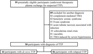 Flow diagram of participants into the study. TTP: thrombotic thrombocytopenic purpura; TMA: thrombotic microangiopathy.