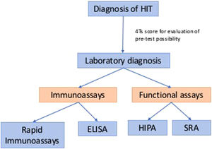 Laboratory diagnosis classification of HIT. Laboratory diagnosis of HIT can be classified into functional assays and immunoassays and the ELISA is the most common diagnostic test for anti-PF4 disorders.