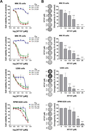 NT157 reduces cell viability and autonomous clonal growth of multiple myeloma cells. (A) Dose- and time-response cytotoxicity was analyzed by methylthiazoletetrazolium (MTT) assay for multiple myeloma (MM) cells treated with graded concentrations of NT157 (ranged from 0.8 to 50 µM) for 24, 48, and 72 h. Values are expressed as the percentage of viable cells for each condition relative to vehicle-treated controls. Results are shown as the mean ± SD of at least three independent experiments. (B) Colonies containing viable cells were detected by adding an MTT reagent after 10-14 days of culturing the cells in the presence of vehicle or NT157 (ranged from 1.6 to 25 µM). Colony images are shown for one experiment and bar graphs show the mean ± SD of at least three independent experiments. *p < 0.05, **p < 0.01, ***p < 0.001; ANOVA test and Bonferroni post-test.
