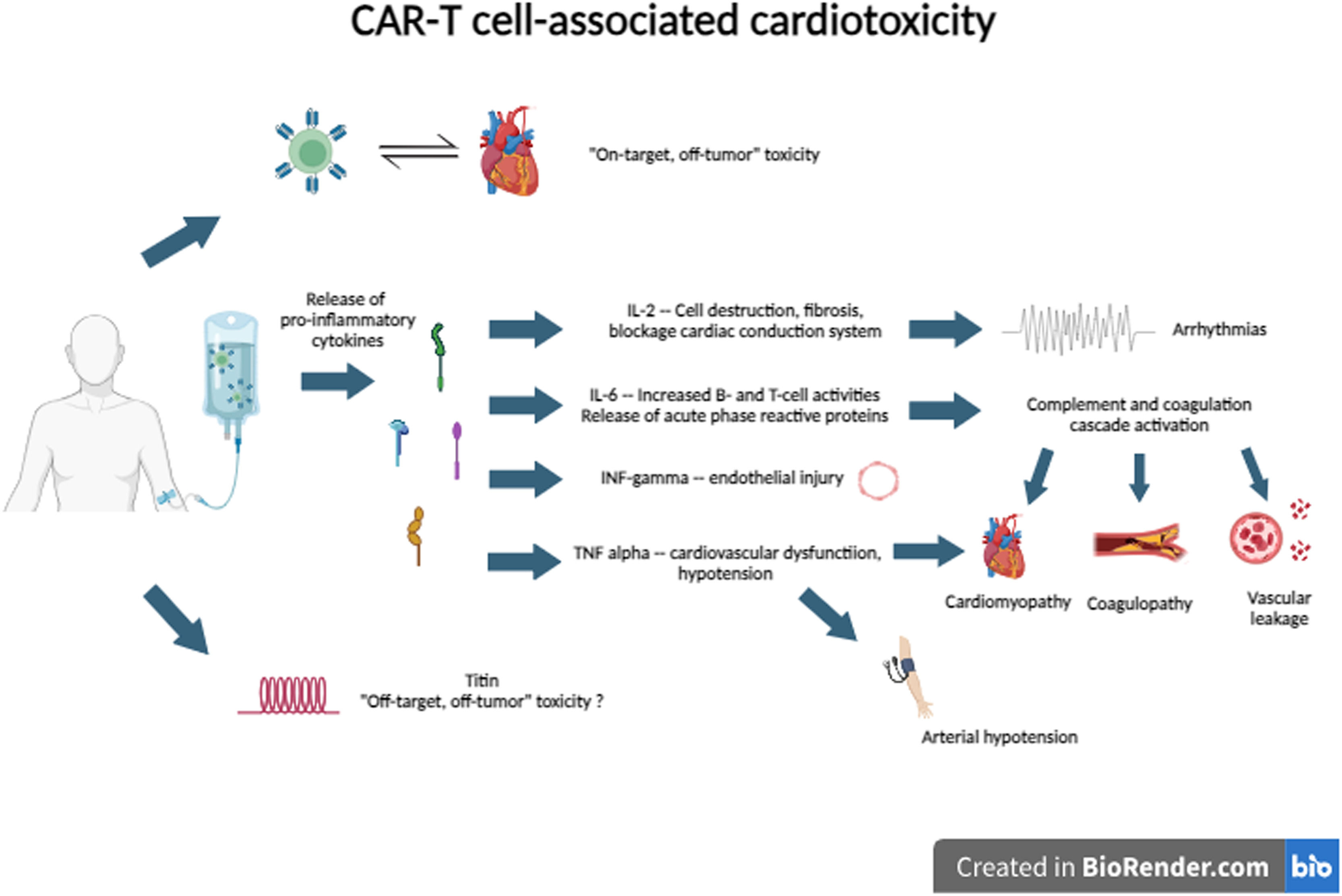 From the mechanism of action to clinical management: A review of 