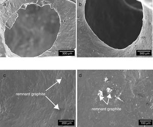 SEM image of the pore geometry in (a) and (b). (c) and (d) show the surface images with remnant graphite of a Si foam fabricated by GC space holder.