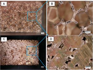Microscopic investigation of the smearing effect: metal foam before (A, B) and after mechanical machining (C, D); loss of cellular behavior through surface defects.