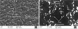 Secondary electron micrograph of as-received P91 steel (a) at lower magnification of 5000×, (b) at higher magnification of 50,000×.