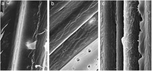 Roughness in natural (a), alkaline (b) and acetylated (c) fibers.