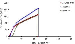 Stress–strain curves of raw, ripe and matured BNH fibers [13,21].