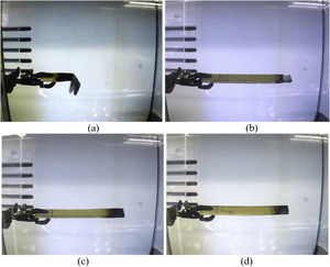 Images of all types of fabricated samples after burning test: (a) HVE-UT, (b) HVE-NaOH, (c) HVE-FR and (d) HVE-NaOH + FR.