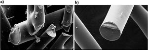 SEM images of fibers from bio oil additivated with furfuryl alcohol after stabilization. (a) Fibers melted together, magnification of 240×, bar=50μm and (b) diameter fiber ∼82μm, magnification of 350×, bar=50μm.