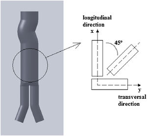 Prosthesis model and samples directions for testing.