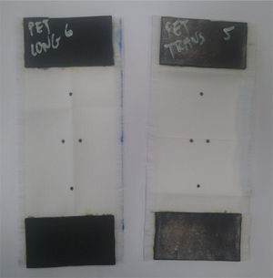 Specimens for tensile tests with rubber pieces glued and black dots for strain measurements.