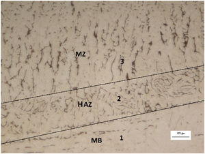 AISI 316L of HAZ, MZ and MB for heat input of 2.5kJ/mm. Image obtained with increase of 200× in optical microscope, chemical attack performed with reagent Beraha.