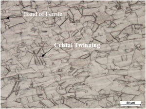 Microstructure of AISI 316L austenitic stainless steel. Matrix composed of polygonal grains of austenite, presence of maclas and δ ferrite bands. Attack Beraha, increase 200×.
