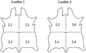 Schematic showing the 4 pieces cut in each leather that were subjected to different surface base treatments summarized in Table 1. The labels L1–L6 shown in this figure will be used as identification of the substrates.