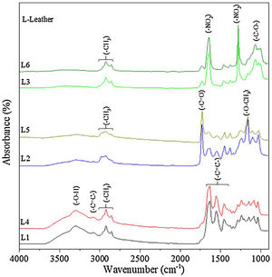 FTIR spectra of six uncovered pieces of leathers (L1, L2, L3, L4, L5 and L6). Main band assignments are shown above appropriate wavenumbers.
