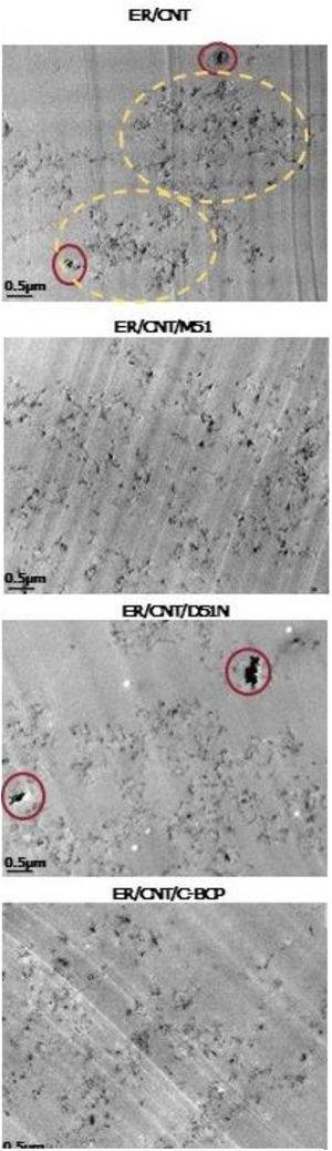 TEM images of nanocomposites ER/CNT, ER/CNT/M51, ER/CNT/D51N and ER/CNT/C-BCP with a magnification of 25,000×.