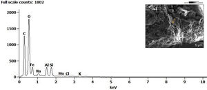 EDS elemental analysis for a crack surface in sample without bacteria, after 63 days of healing.