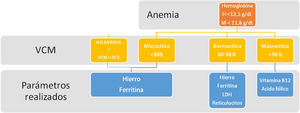 Diagrama del algoritmo diseñado para la gestión de pruebas bioquímicas en el estudio de anemia en Atención Primaria.