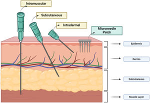 Comparative illustration of vaccine delivery methods: from traditional injections to innovative MNPs. Created by Bio-render.