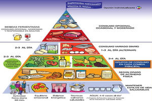 Pirámide alimentaria y proporción de raciones de consumo diario y ocasional para adultos sanos7.