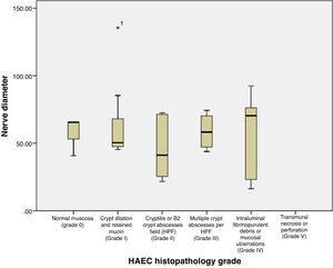 Relationships between diameter nerve and degree of histopathological HAEC.
