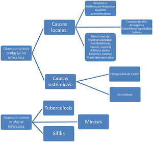 Granulomatosis orofacial. Modificado de Müller17.