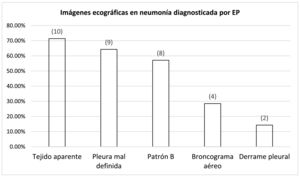 Imágenes ecográficas visualizadas en los casos de neumonía diagnosticada por EP. EP: ecografía pulmonar.