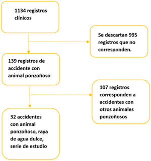 Esquema serie de estudio.