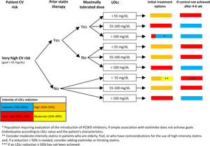 Algorithm for the approach to lipid-lowering treatment in patients with very high CV risk. Recommendations of the Spanish Society of Atherosclerosis (SEA): use of PCSK9 inhibitors in primary prevention: homozygous familial hypercholesterolemia and LDLc>100mg/dL; heterozygous familial hypercholesterolemia with ≥4 associated risk factors and LDLc>130mg/dL or diabetes and LDLc>100mg/dL; CKD≥3b (no dialysis) with diabetes and LDLc>130mg/dL.45 According to the 2019 European guidelines on dyslipidemia,4 in patients in primary prevention with very high risk and no familial hypercholesterolemia, the addition of a PCSK9 inhibitor can be considered when the LDLc target is not achieved with the combination of maximum tolerated dose and ezetimibe. In patients with familial hypercholesterolemia and very high risk who do not achieve the LDLc goal with the combination of maximum tolerated statin dose and ezetimibe, addition of a PCSK9 inhibitor is recommended. CKD, chronic kidney disease; CV, cardiovascular; LDLc, low-density lipoprotein cholesterol. Figure adapted with permission from Escobar et al.21