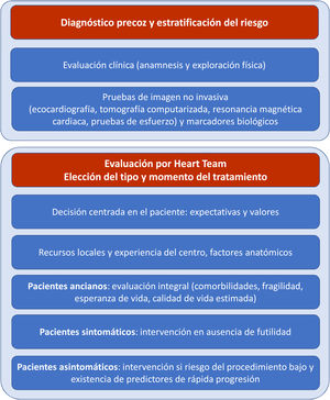 Evaluación integral centrada en el paciente con enfermedad valvular. Figura de elaboración propia con datos procedentes de Vahanian et al.58.