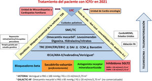 Pirámide de tratamiento de pacientes con insuficiencia cardiaca con fracción de eyección reducida (ICFEr) en 2021, reproducida por cortesía de N. Manito-Lorite. ARA-II: antagonista del receptor de la angiotesina II; CCM: cardiac contractility modulation; DAI: desfibrilador automático implantable; DAPA: dapaglifozina; DH: déficit de hierro; EBV: estimulación biventricular; EHH: estimulación del haz de His; EMPA: empaglifozina; ERI: estimulación de rama izquierda; FA: fibrilación auricular; FG: filtrado glomerular; IECA: inhibidor de la enzima de conversión de la angiotensina; PAS: presión arterial sistólica; Reh Card: rehabilitación cardiaca; SGLT2: cotransportador de sodio-glucosa tipo 2; SMC: soporte mecánico circulatorio; TC: trasplante cardiaco; TRC: terapia de resincronización; TSR: terapia de sustitución renal; UIC: unidad de insuficiencia cardiaca.