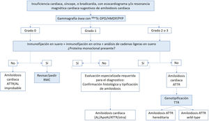 Algoritmo diagnóstico de la amiloidosis cardiaca. Reproducido y adaptado con permiso de Gillmore et al.16. 99mTC: tecnecio 99; AL: amiloidosis por cadenas ligeras; ApoAI: amiloidosis por apolipoproteína AI; ATTR: amiloidosis por transtirretina; DPD: ácido 3,3-difosfono-1,2-propanodicarboxílico; HMDP: hidroximetilen difosfonato; PYP: pirofosfato; RMC: resonancia magnética cardiaca.