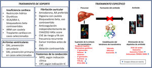 Esquema del tratamiento general (de soporte) y específico de la amiloidosis cardiaca por transtirretina. AA: antiarrítmico; ARA-II: antagonistas del receptor de la angiotensina II; ARM: antagonistas del receptor mineralocorticoide; CRT: terapia de resincronización cardiaca; CVE: cardioversión eléctrica; DAI: desfibrilador automático implantable; ECGC: epigalocatequina-3-galato; FA: fibrilación auricular; IC: insuficiencia cardiaca; IECA: inhibidores de la enzima de conversión de la angiotensina; MPD: marcapasos definitivo; TUDCA: ácido tauroursodeoxicólico.