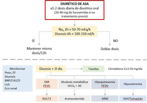 Propuesta de evaluación multiparamétrica y tratamiento de la congestión. Elaborado con datos tomados de Mullens et al.24 y De la Espriella et al.25. CA125: antígeno carbohidrato 125; ARM: antagonistas del receptor de mineralocorticoides; BNP: péptido natriurético cerebral; DM: diabetes mellitus; EF: exploración física; FEVIr: fracción de eyección del ventrículo izquierdo reducida; LUS: ultrasonido pulmonar; SSH: suero salino hipertónico.