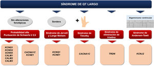 Algoritmo clínico para pruebas genéticas y cribado familiar en el SQTL. Figura elaborada con datos de Wilde2.