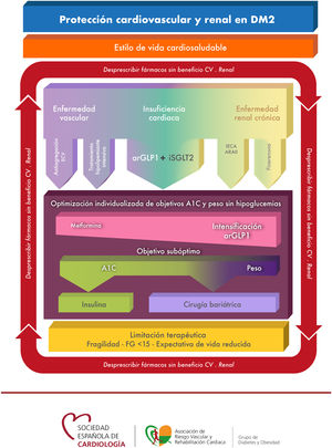 Protección cardiovascular y renal en DM2. ARA-II: antagonista de los receptores de angiotensinaII; arGLP1: agonista del péptido similar al glucagón tipo1; CV: cardiovascular; DM2: diabetes mellitus tipo2; ECV: enfermedad cardiovascular; FG: filtrado glomerular; IECA: inhibidor de la enzima convertidora de angiotensina; iSGLT2: inhibidor del transportador sodio-glucosa. Reproducido con permiso de Sociedad Española de Cardiología9.