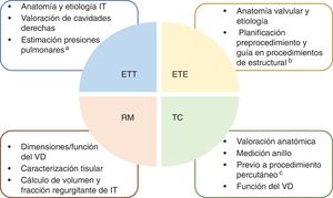 Valoración con imagen multimodalidad en la insuficiencia tricuspídea. ETE: ecocardiograma transesofágico; ETT: ecocardiograma transtorácico; IT: insuficiencia tricuspídea; RM: resonancia magnética; TC: tomografía computarizada; VD: ventrículo derecho. a Confirmar con cateterismo derecho. b Especial utilidad en terapias borde-borde. c Mediciones en anuloplastia percutánea, prótesis ortotópica o heterotópica.