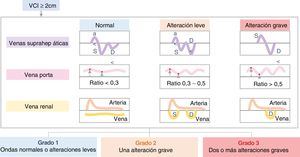 Valoración ultrasonográfica de la congestión venosa: resumen de patrones y gravedad de la congestión. A: onda auricular; D: diástole; S: sístole; VCI: vena cava inferior.
