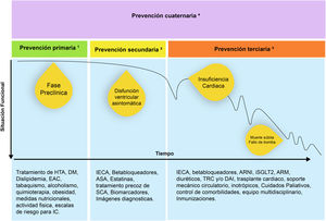 Niveles de prevención y trayectoria funcional del paciente con insuficiencia cardiaca (IC). 1. Prevención primaria (estadio A de la ACC/AHA): control de factores de riesgo cardiovasculares (FRCV). 2. Prevención secundaria (estadio B de la ACC/AHA B): diagnóstico precoz y limitación del daño. 3. Prevención terciaria (estadios C y D de la ACC/AHA C y D): control de factores precipitantes para evitar la descompensación y progresión. 4. Prevención cuaternaria (estadios A-D de la ACC/AHA): evitar, disminuir y paliar el daño producido por las intervenciones en salud. ARM: antagonistas del receptor de mineralocorticoides; ARNI: inhibidor de la neprilisina y del receptor de angiotensina; ASA: ácido acetilsalicílico; DAI: desfibrilador automático implantable; DM: diabetes mellitus; EAC: enfermedad arterial coronaria; HTA: hipertensión arterial; IECA: inhibidores de la enzima de conversión de angiotensina; iSGLT2: inhibidores del receptor SGLT2; SCA: síndrome coronario agudo; TRC: terapia de resincronización cardiaca.