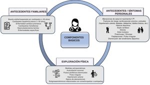Componentes básicos del cribado cardiológico preparticipativo o del deportista: antecedentes familiares, antecedentes y síntomas personales y exploración física.