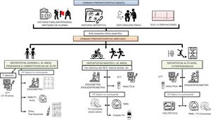 Esquema del cribado cardiológico preparticipativo (básico y ampliado) dependiendo del tipo de deportista y de un cribado preparticipativo básico no concluyente con hallazgos limítrofes o anormales, sugerentes de enfermedad cardiovascular o con posible importancia clínica. CP: cribado preparticipativo; ECG: electrocardiograma; ETT: ecocardiograma transtorácico; FA: fibrilación auricular; RCV: riesgo cardiovascular; RMN: resonancia magnética; TC: tomografía computarizada.