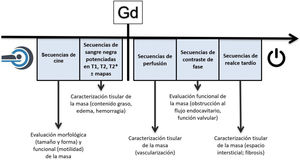 Protocolo de estudio de una masa cardiaca mediante resonancia magnética. Gd: gadolinio.
