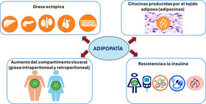 Características centrales de la adipopatía de la obesidad.