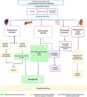 Figura central. Tratamiento de las complicaciones cardiovasculorrenales de la obesidad. ar-GLP-1: agonistas del receptor del péptido similar al glucagón tipo1; CV: cardiovascular; ECA: ensayos clínicos aleatorizados; IAM: infarto agudo de miocardio; iSGLT2: inhibidores del cotransportador de sodio-glucosa tipo2.
