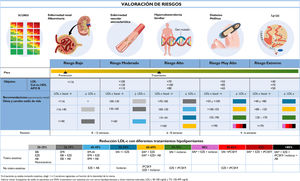 Recomendaciones del Grupo de Trabajo sobre el Uso de Nuevas Terapias Hipolipemiantes en la Práctica Clínica. AB: ácido bempedoico; cLDL: colesterol ligado a lipoproteínas de baja densidad; EAI: estatinas de alta intensidad (rosuvastatina 20-40mg, atorvastatina 40-80mg); EBI: estatina de baja intensidad; EMI: estatina de moderada intensidad; EVA: enfermedad vascular aterosclerótica; EZE: ezetimiba; iPCSK9: inhibidores de la proproteína convertasa subtilisina/kexina tipo 9 (alirocumab, evolocumab); Lp(a): lipoproteína (a). *Incluye también rosuvastatina 10mg. En pacientes con riesgo bajo/moderado, esperar 3 meses antes de iniciar medicación. En aquellos con riesgo alto/muy alto/extremo, iniciar directamente con medicación.