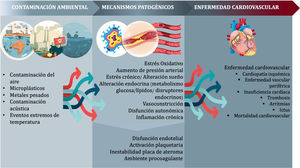 Etiopatogenia de la contaminación ambiental y la enfermedad cardiovascular. Diseñado con Freepik (Freepik Company, S.L.U, España).