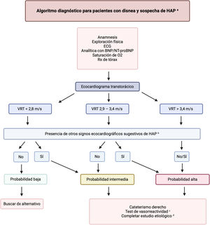 Algoritmo diagnóstico de hipertensión arterial pulmonar. Se muestran los 3 pasos en el diagnóstico de la HAP: sospecha diagnóstica, valoración ecocardiográfica de probabilidad de hipertensión pulmonar y confirmación mediante cateterismo derecho. aImplica descartar HP del grupo 2 (ecocardiograma transtorácico), grupo 3 (pruebas de función respiratoria, tomografía computerizada pulmonar) y grupo 4 (gammagrafía de ventilación pulmonar). bAl menos 2 signos pertenecientes a 2 categorías diferentes (tabla 3). cSi sospecha de hipertensión arterial pulmonar idiopática, hereditaria o asociada a drogas. dSolicitar serología de virus de inmunodeficiencia humana y virus hepatotropos, perfil de autoinmunidad, ecografía abdominal y estudio genético; valorar estimación cociente flujo pulmonar (Qp)/flujo sistémico (Qs) si sospecha de cardiopatía congénita. HAP: hipertensión arterial pulmonar; NT-proBNP: prohormona N-terminal del péptido natriurético cerebral; O2: oxígeno; VRT: velocidad de regurgitación tricuspídea. Fuente: Figura creada con BioRender.com.